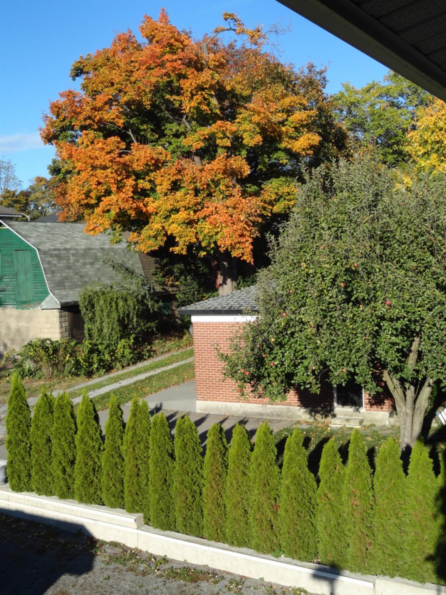 Bed & Breakfast Rainbow 3*